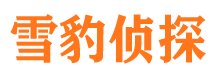 和平市侦探调查公司